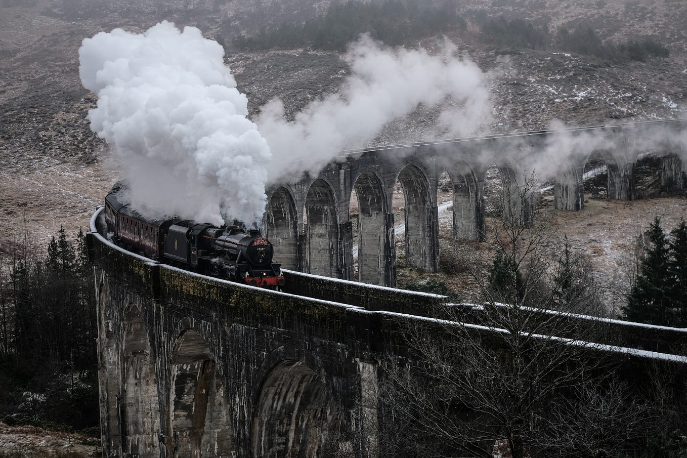 Friends Are Just Passengers On The Train of Life
