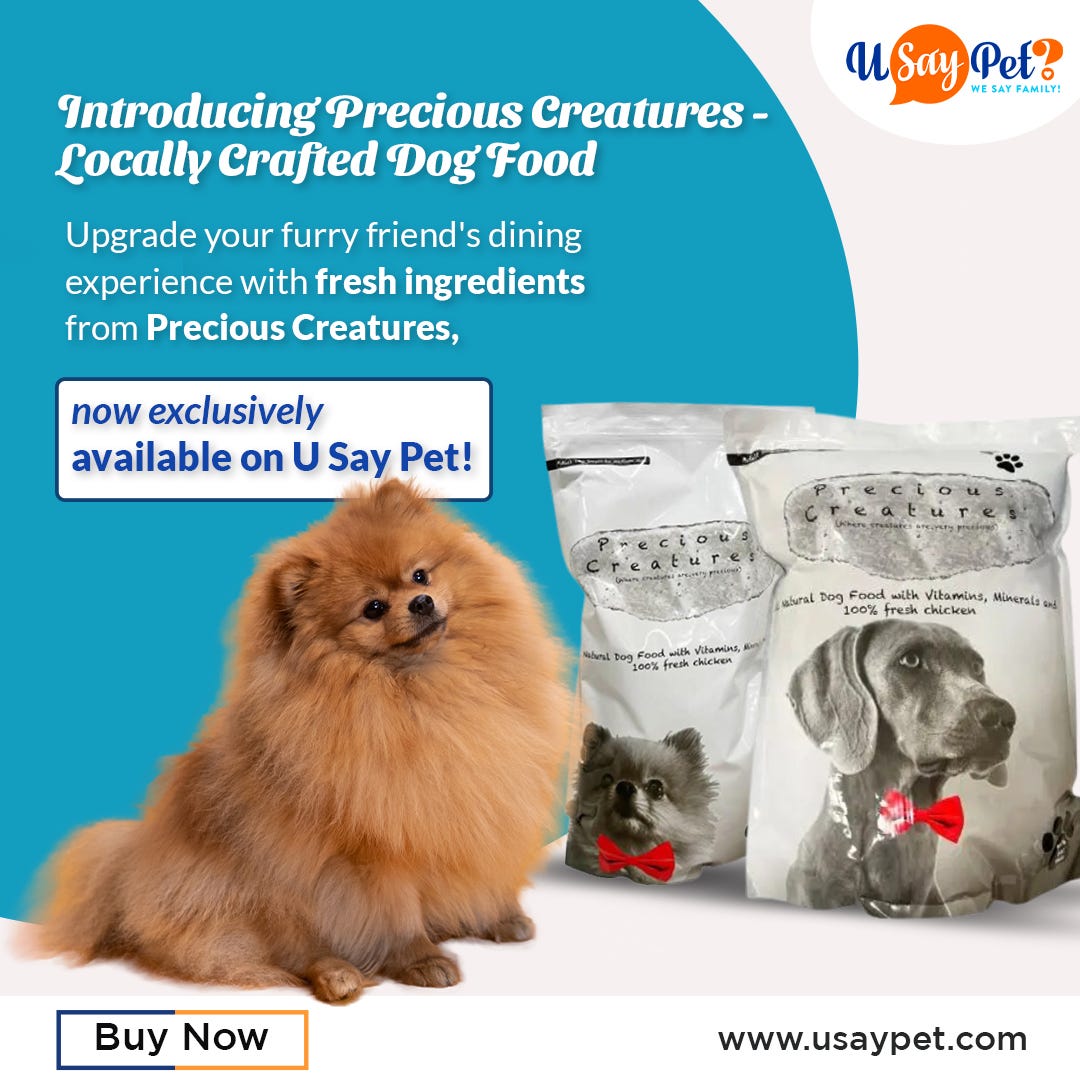 Best Dog Food Shop in Dubai — U Say Pet by U Say Pet Feb, 2024 Medium