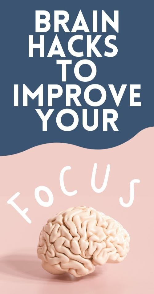 What Does It Mean When A Bird Visit You by Alina Shah Oct, 2024