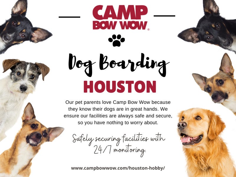Dog Boarding Houston. Elevate Your Dog’s Stay Discover What… by Camp Bow Wow Houston Hobby
