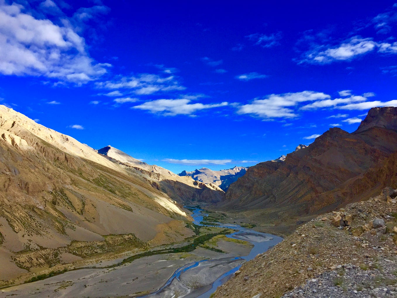 Sure I Will The Ordinary Scientist Medium sure-i-will-the-ordinary-scientist-medium