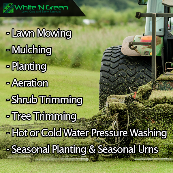How to Prepare Your Lawn & Garden for Spring in 6 Simple Steps by