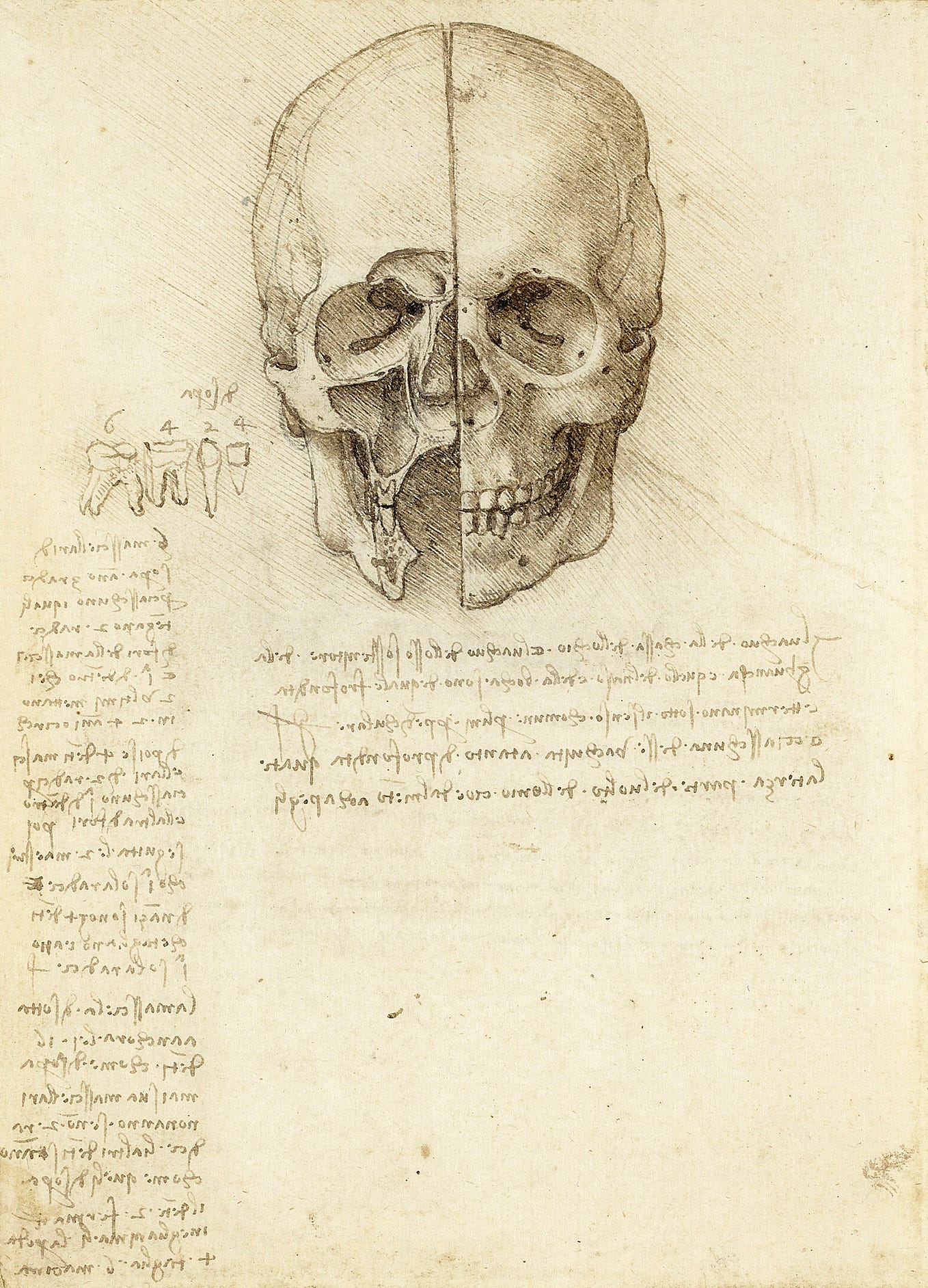 Anatomy, Round Two