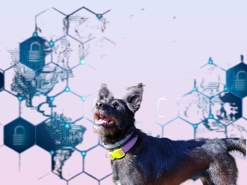 Program Compilation: From Source To Machine Code | by Razvan Badescu ...