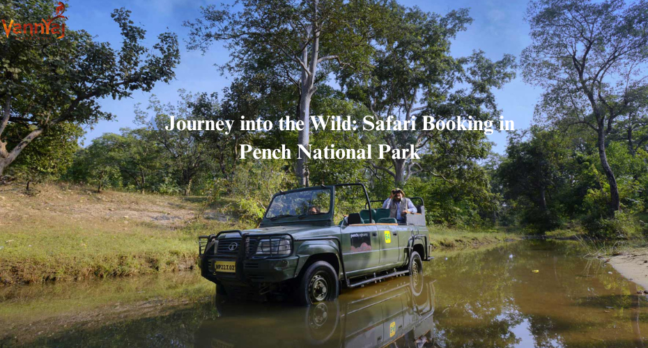 Pench National Park: A Gateway To Wildlife And Adventure 