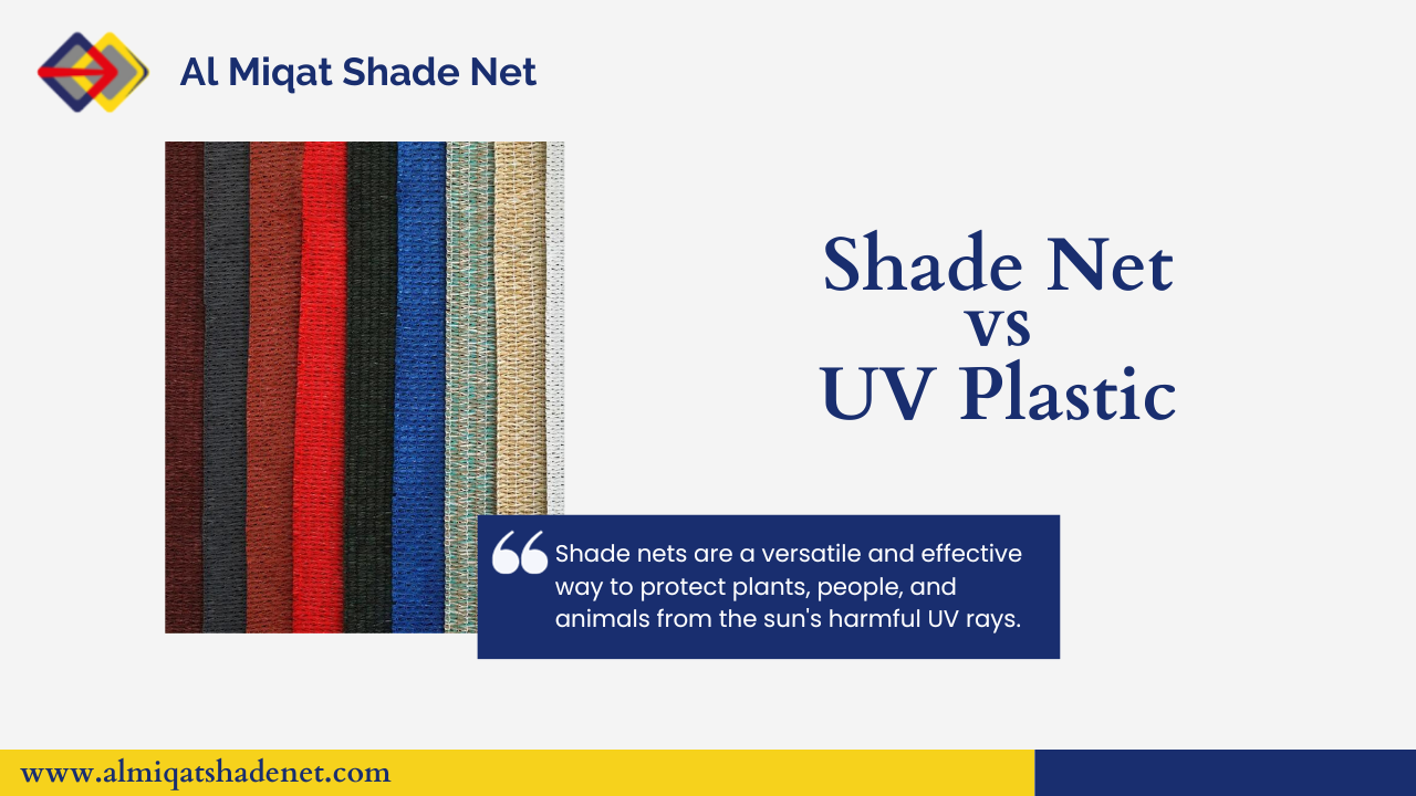 Shade Net Vs Polyhouse. Shade Net Vs Polyhouse by