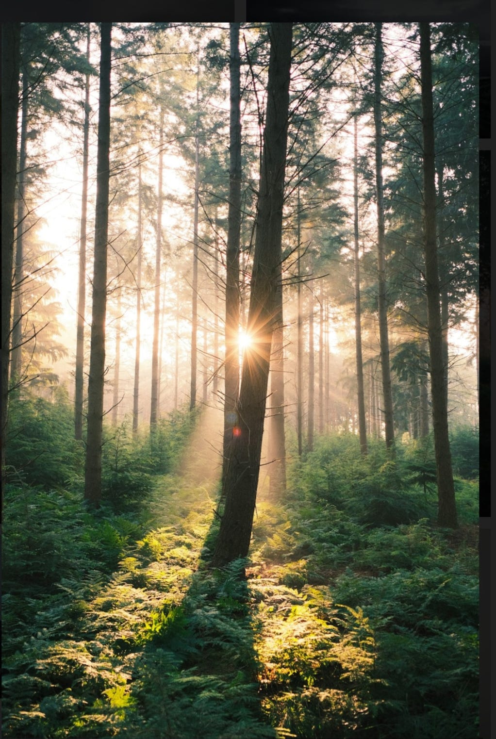 Even It baffles me completely. What is the equation that goes into