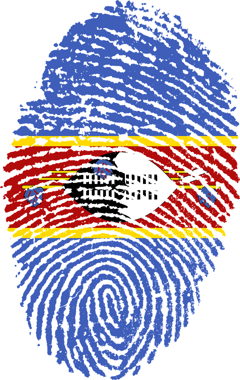 Dismantling a Dictatorship: A Roadmap to Freedom for Eswatini | by Muzi