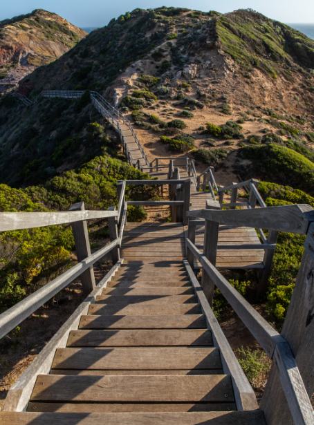Scrum Masters: Top 8 Career Paths