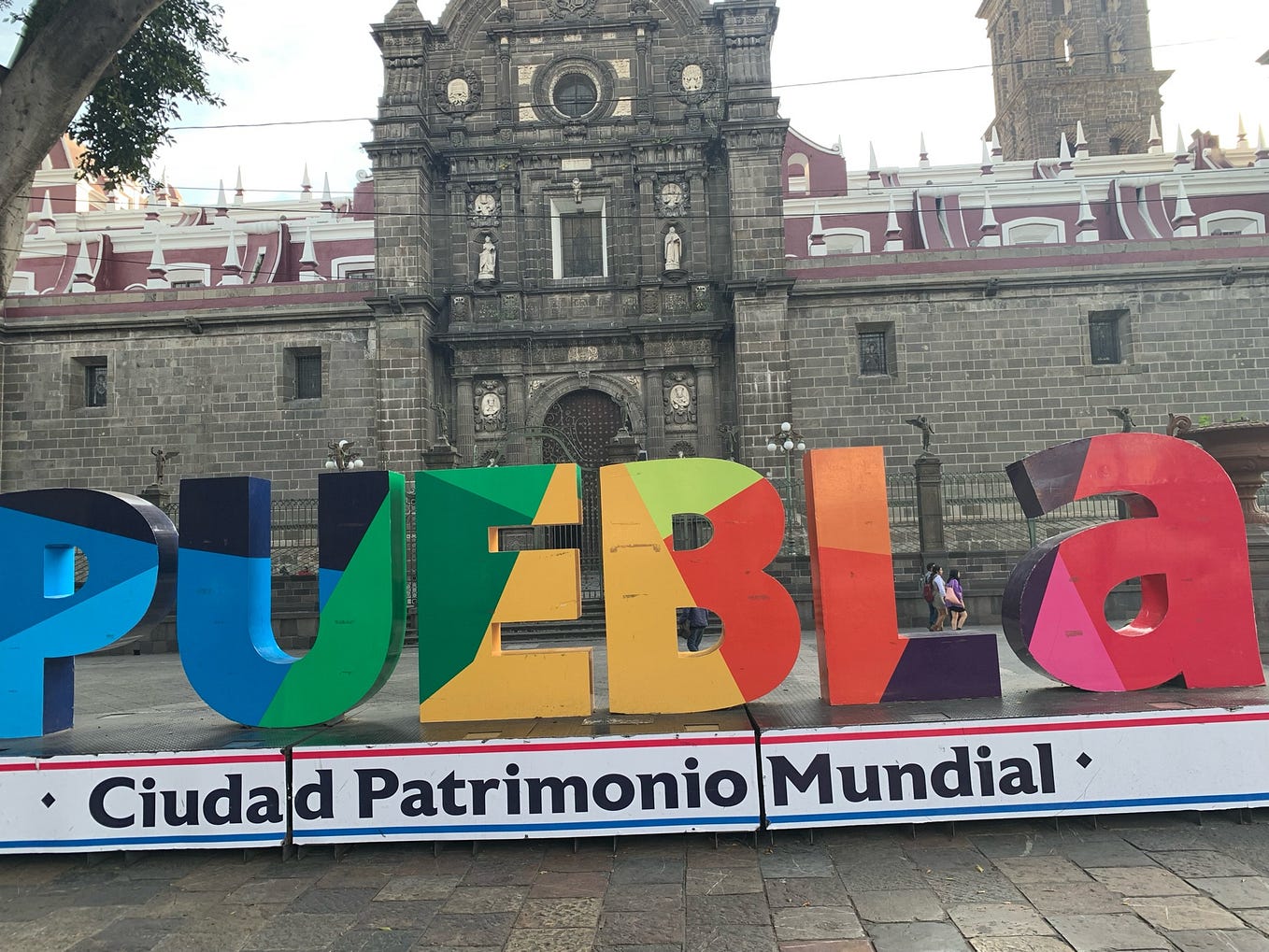 Thanks! He is a scaredy dog. Our cat is bolder! Salsam Medium