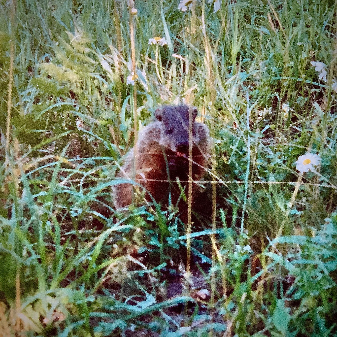 I am a Baby Boomer so to speak! I did not born with a silver spoon! I