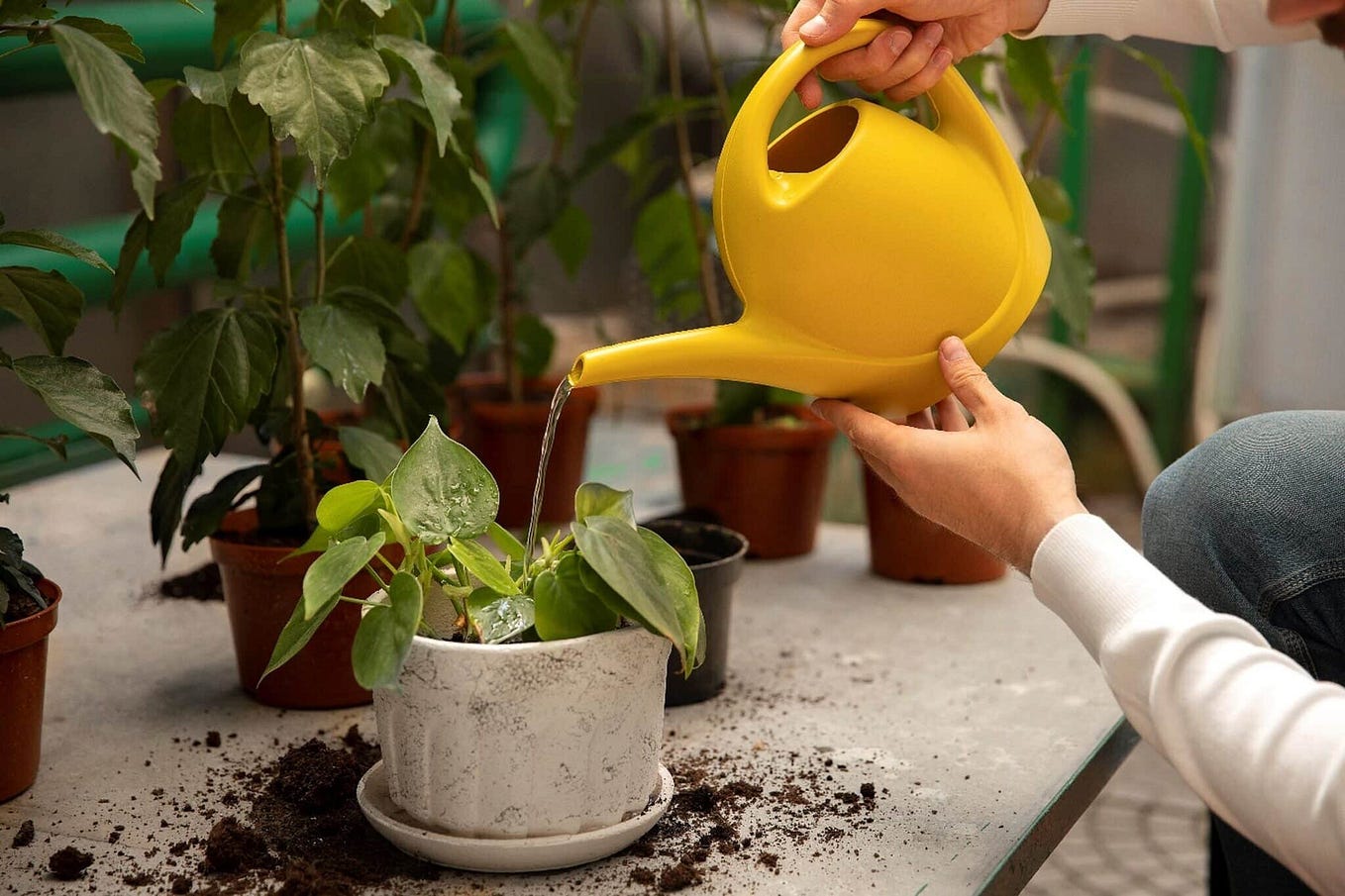 Here’s What You Need to Know About Drainage Holes in Pots by ReleasePots Medium