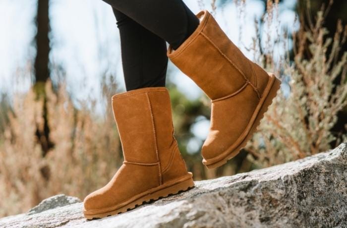 bearpaw boot cleaning kit