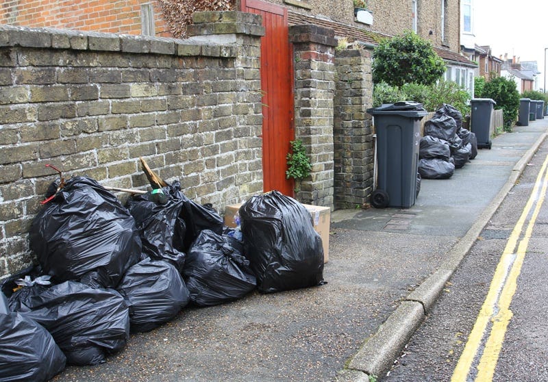 Revolutionizing Recycling Green Bin Collection Exemplified by Junk and Gardening