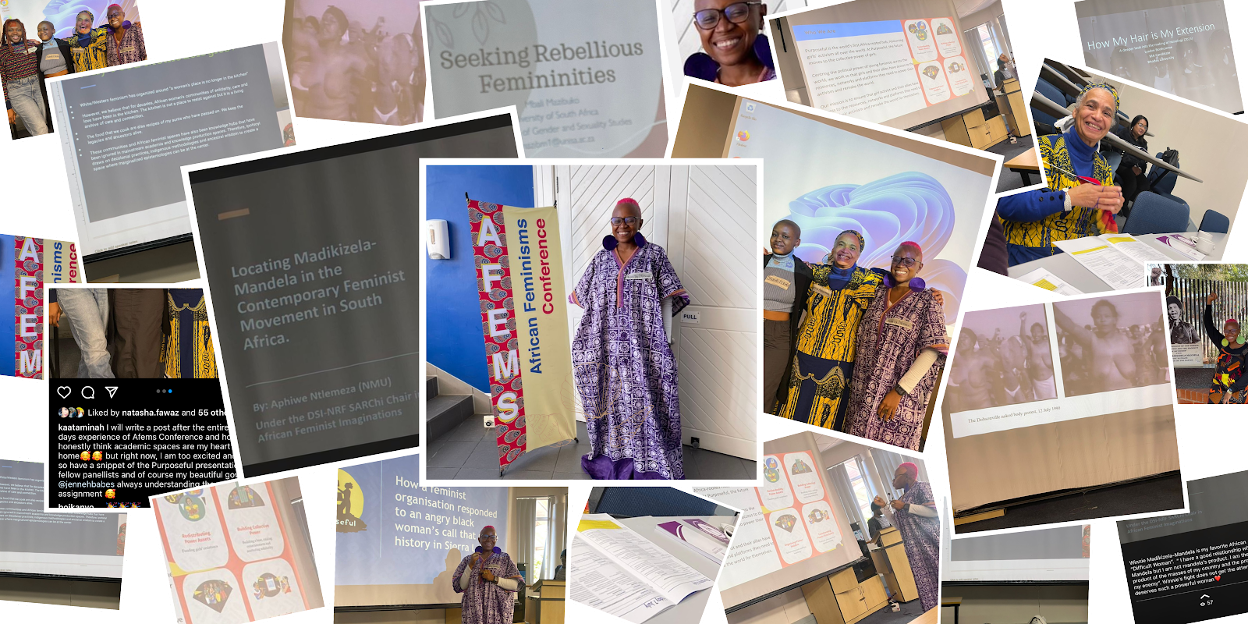 A collage of photos of Kaata Minah and other presenters in action at the AFEMS conference.