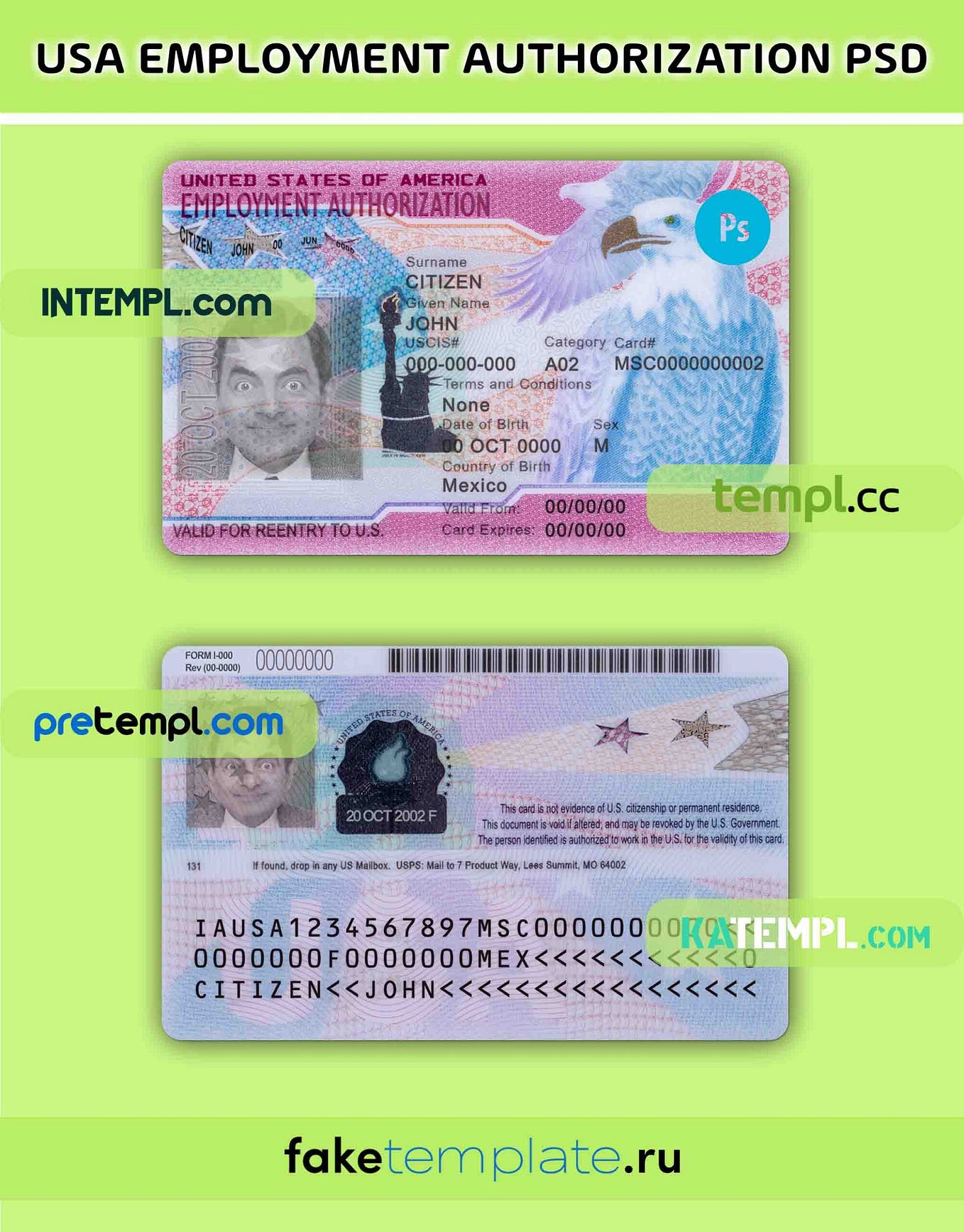 United States employment authorization card PSD download template