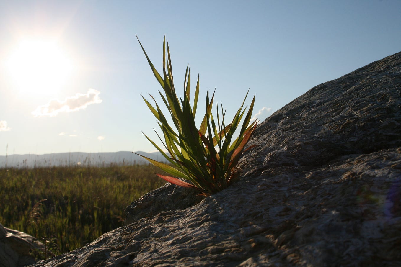 Projection vs. Perception. What We Don’t See vs. What We Do See by