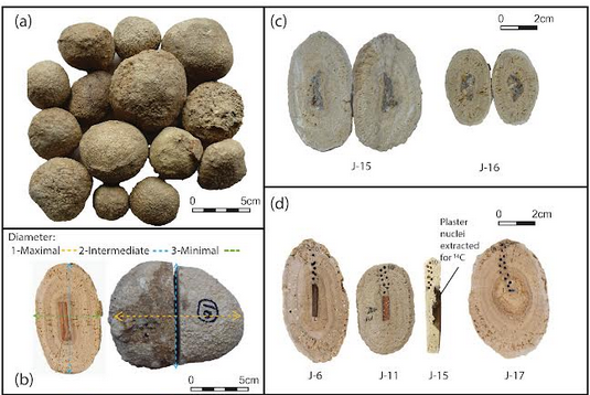 Coastal Archaeological Deposits and Food History