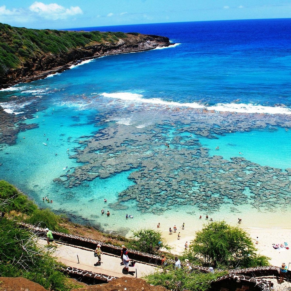 Dive into a world of wonder with ticket reservations to Hanauma Bay 