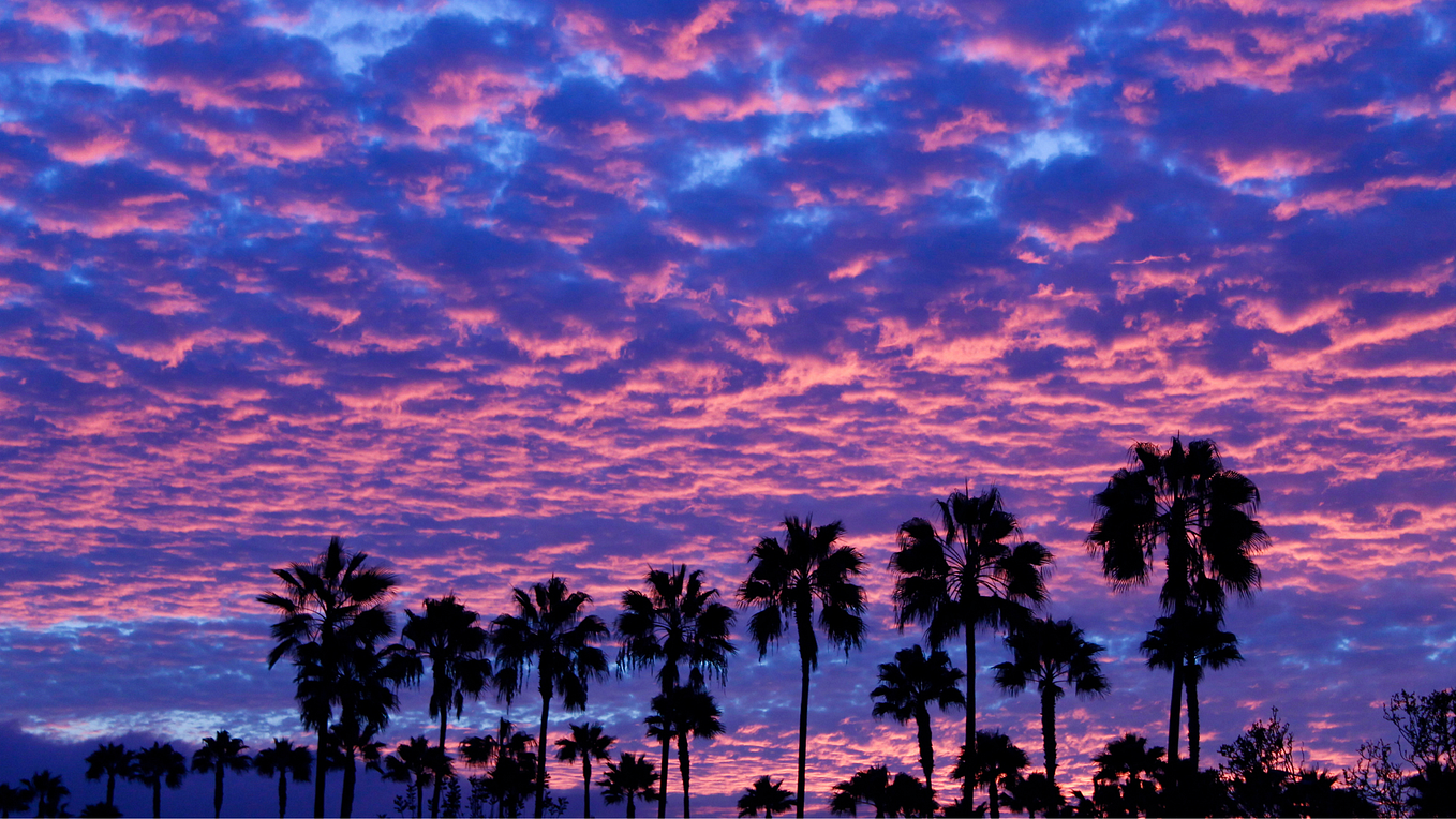 California Coercive Control Resources for Survivors by Coercive