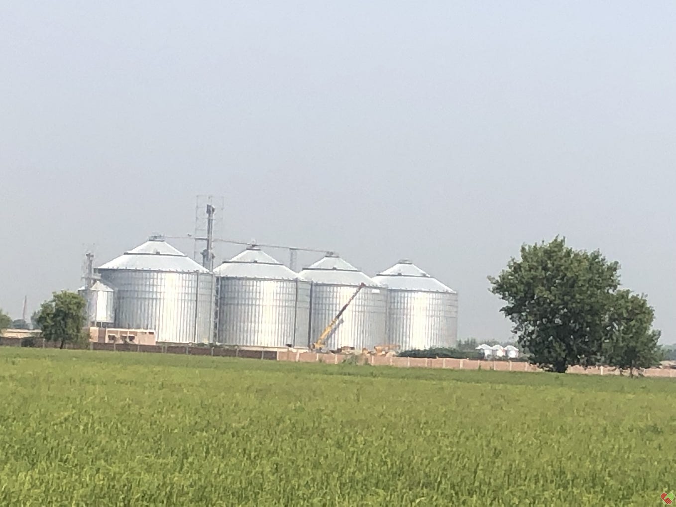 The Importance of Rice Mill Consultants in India for Modernizing the