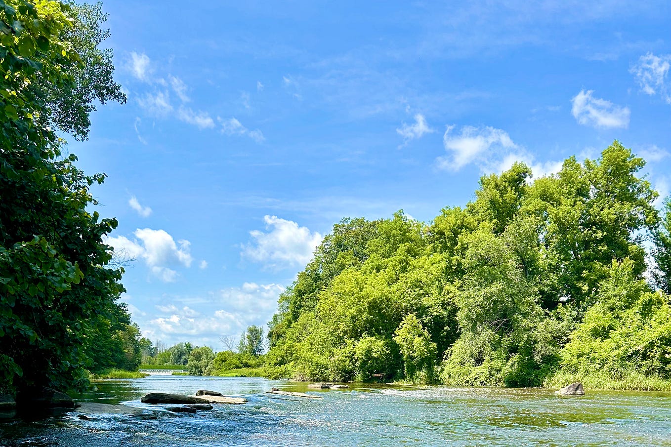 Nooo Robin not the Elgo punishment! That’s just as bad!!! Emma Rose