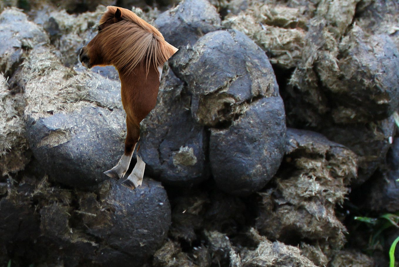 A giant pile of manure with a pony sticking out of it Image: Eli Duke (modified) https://www.flickr.com/photos/elisfanclub/6834356283 CC BY-SA 2.0 https://creativecommons.org/licenses/by-sa/2.0/