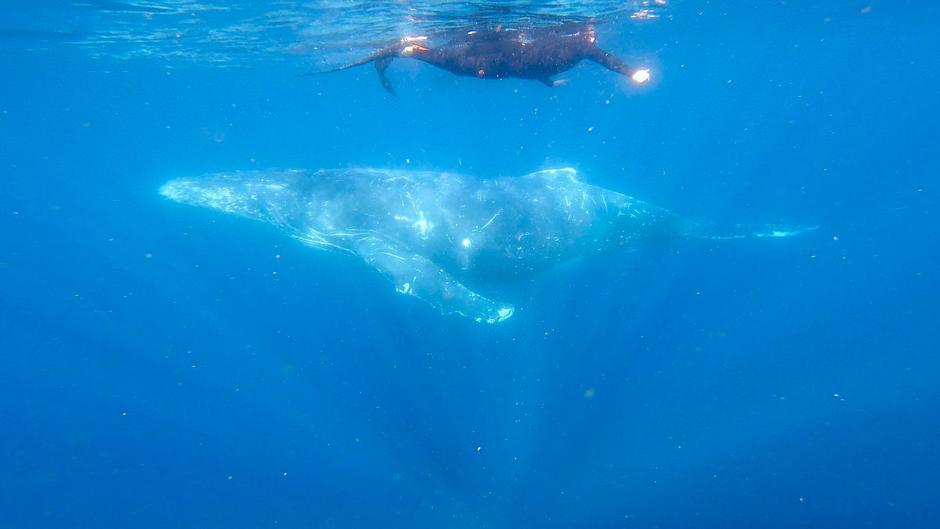 They really do more so our own and the ones we say to ourselves. We