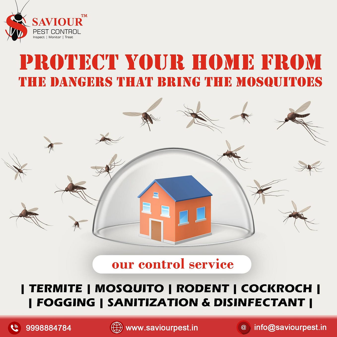 Cockroach Pest Control Services in Ahmedabad by Saviourpest Nov