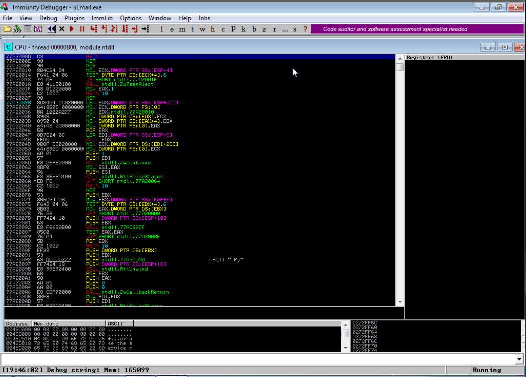 [Linux] [Easy] [THM] Year of the Rabbit Writeup | by Christopher Lia ...