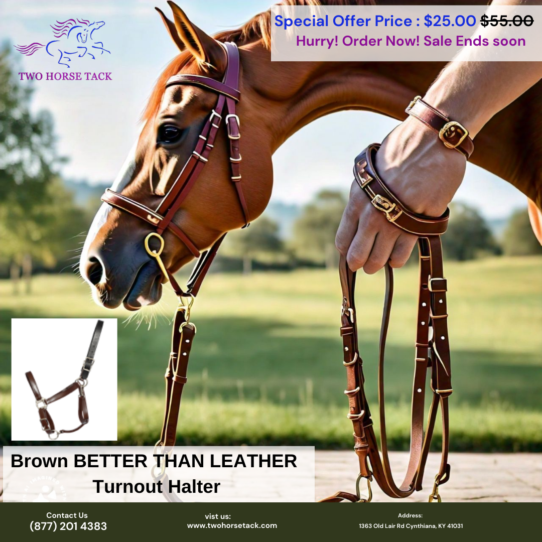 “Enhance Your Horse’s Comfort with Halters from Two Horse Tack” Two