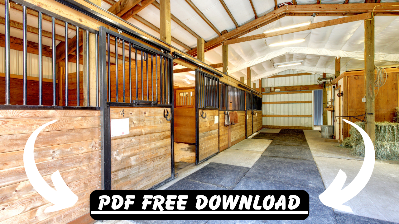 Do I Need Plastic Under Shed?. A lot of worries could cross your mind