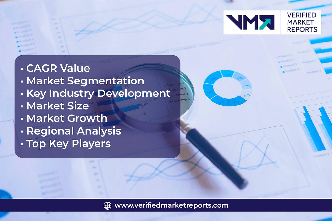 DNA Vaccines Market Size, Share, Trends, and Projected Growth from 2024