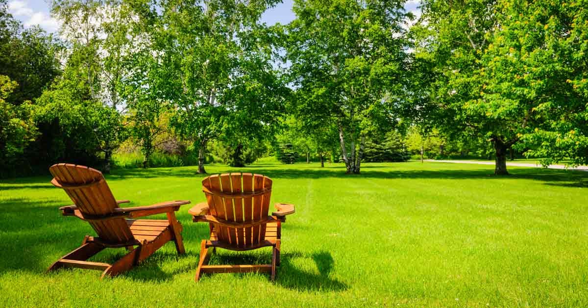 How to Stop Water that Runs Off Your Neighbor’s Property from Pooling