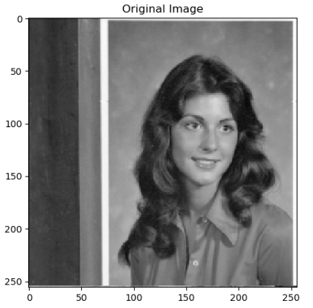Introduction to Image Processing with Python | by Erika Lacson | Towards AI