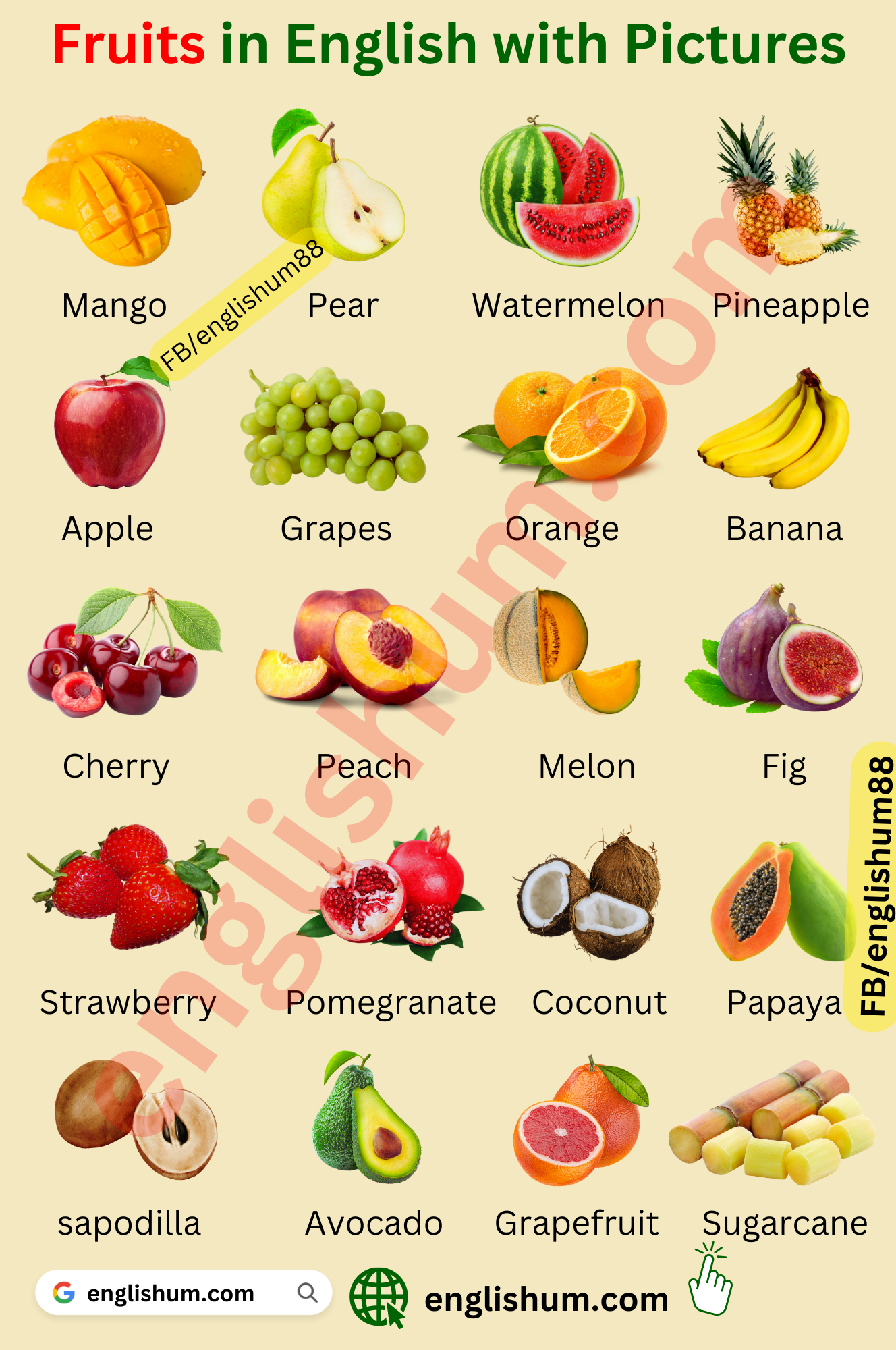 50 Dry Fruits Names In Urdu And English Englishwithbaseer Medium
