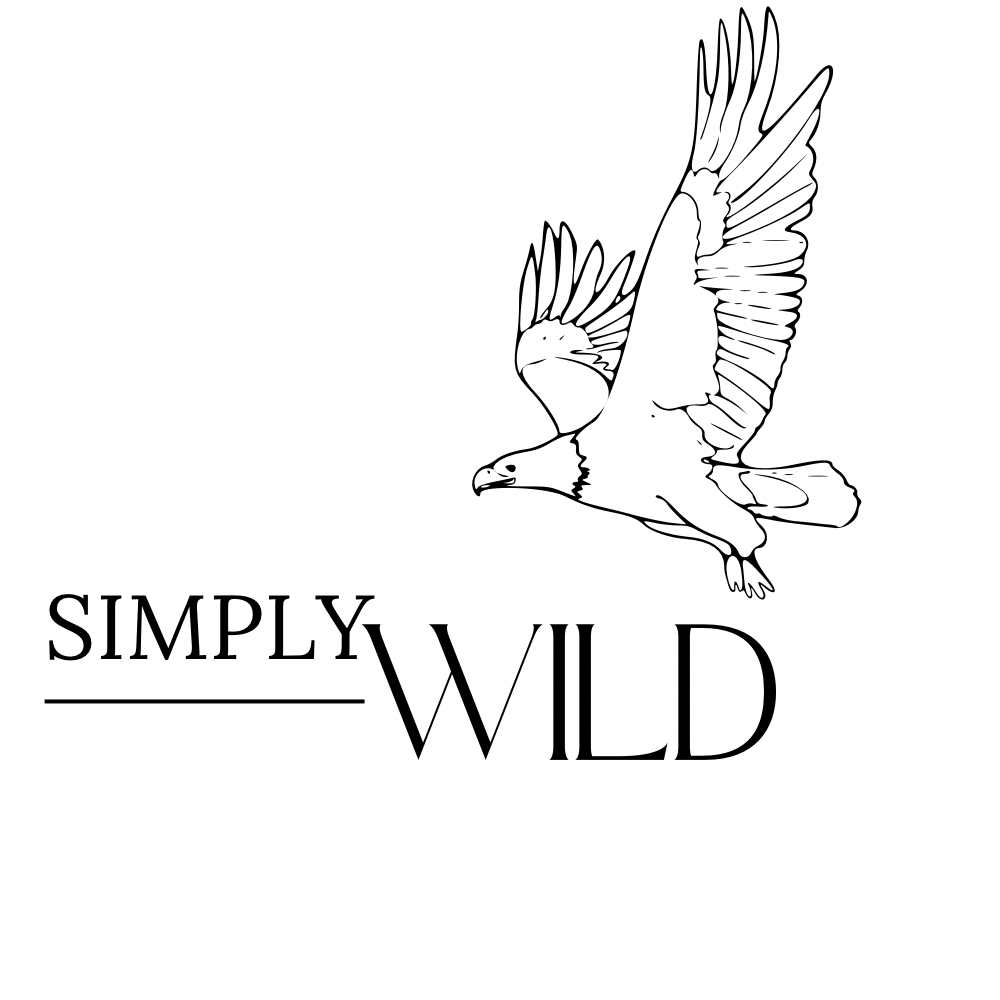 What Animals Live Longest?. Incredible lifespans and even a form of