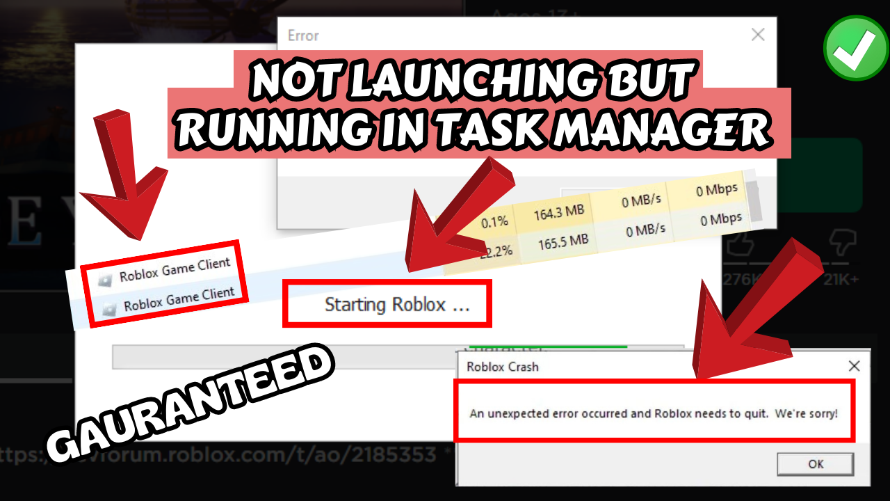 Fix Roblox crashing and not launching issues at startup after