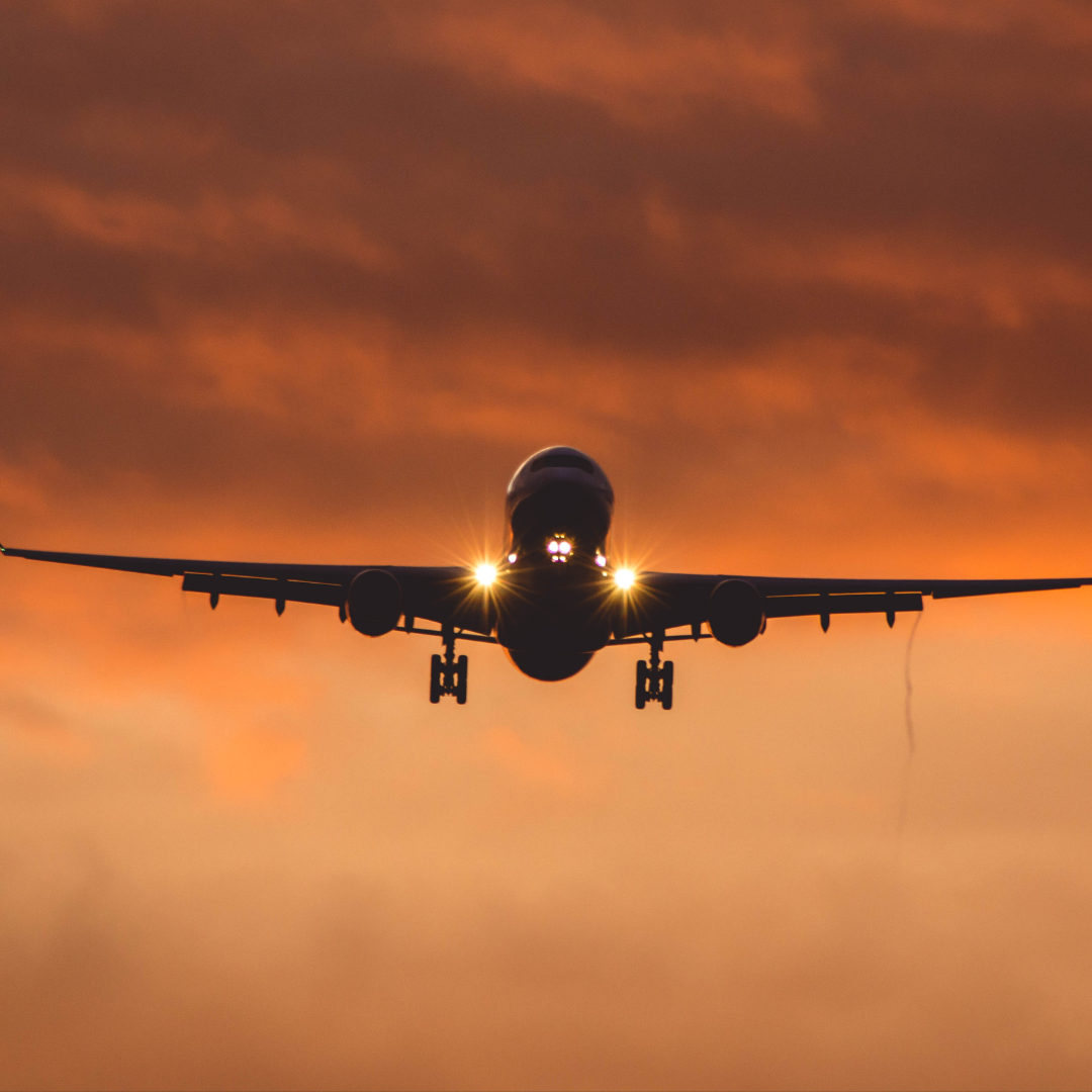 Volaris LAX Terminal Jackadam Medium