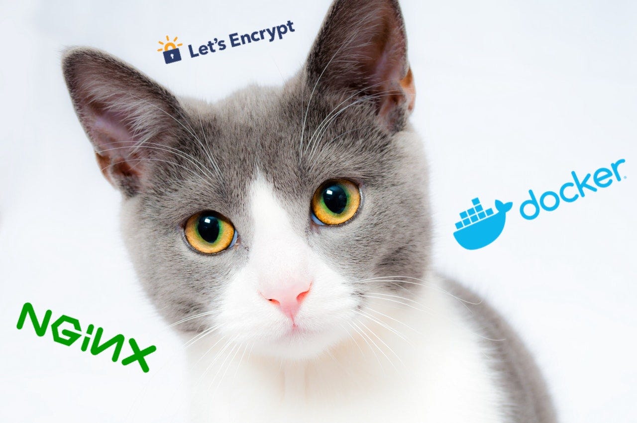 nginx with Let's Encrypt in Docker container 💕 | by Vladislav Shabanov |  Medium