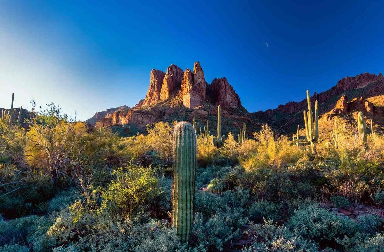 What Types of Fine Art Landscape Photos Sell Best — Strieby Photography