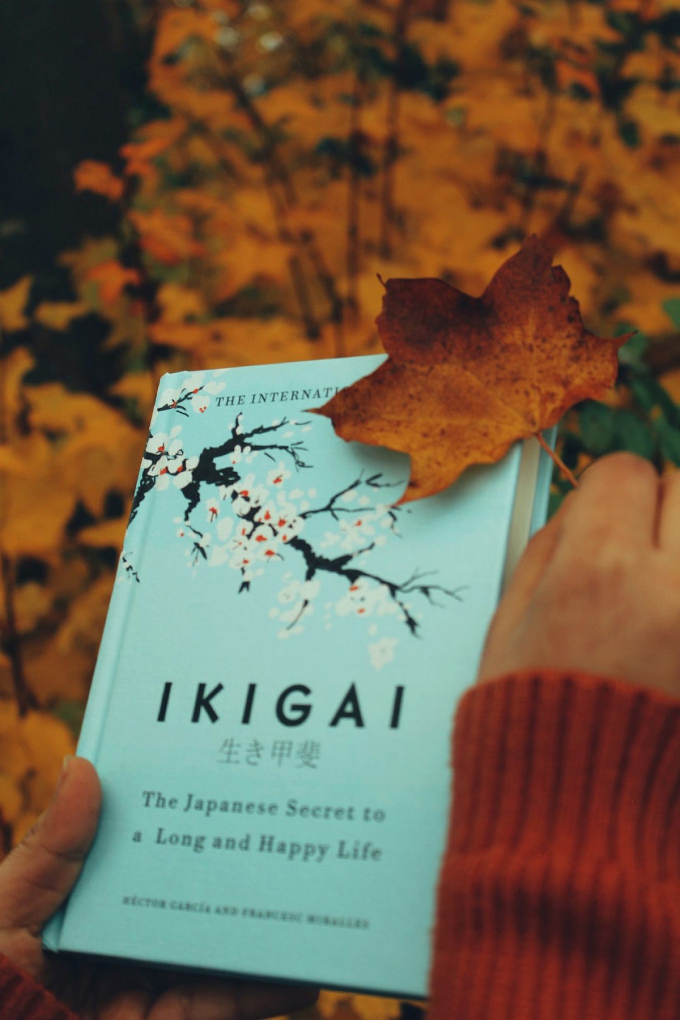 Enjoy exploring Mogi's insights on Ikigai. It's a fascinating read ...