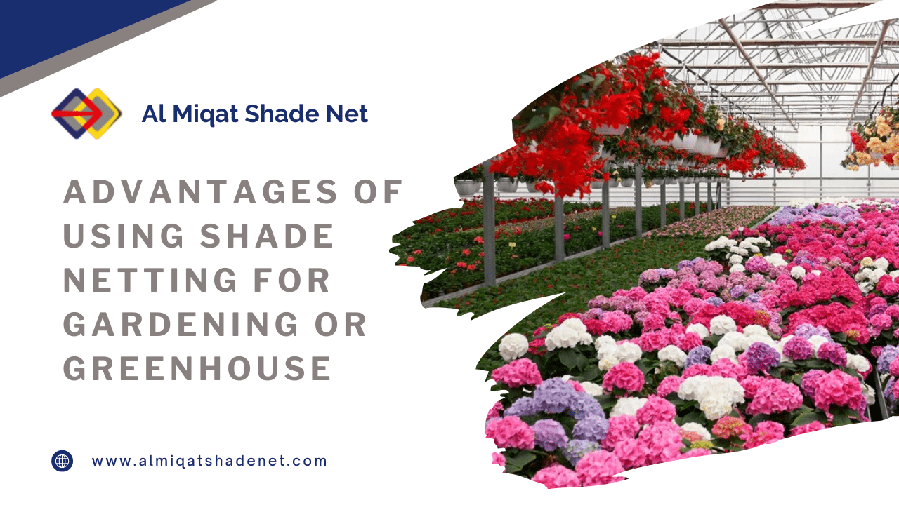Shade Net Vs Polyhouse. Shade Net Vs Polyhouse by