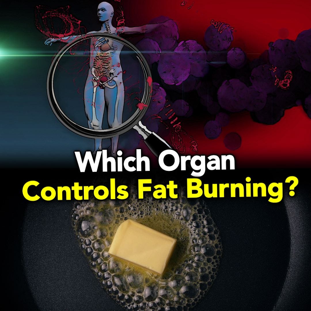 Unlock the Secret: Lose Fat, Gain Muscle — Transform Your Body Now