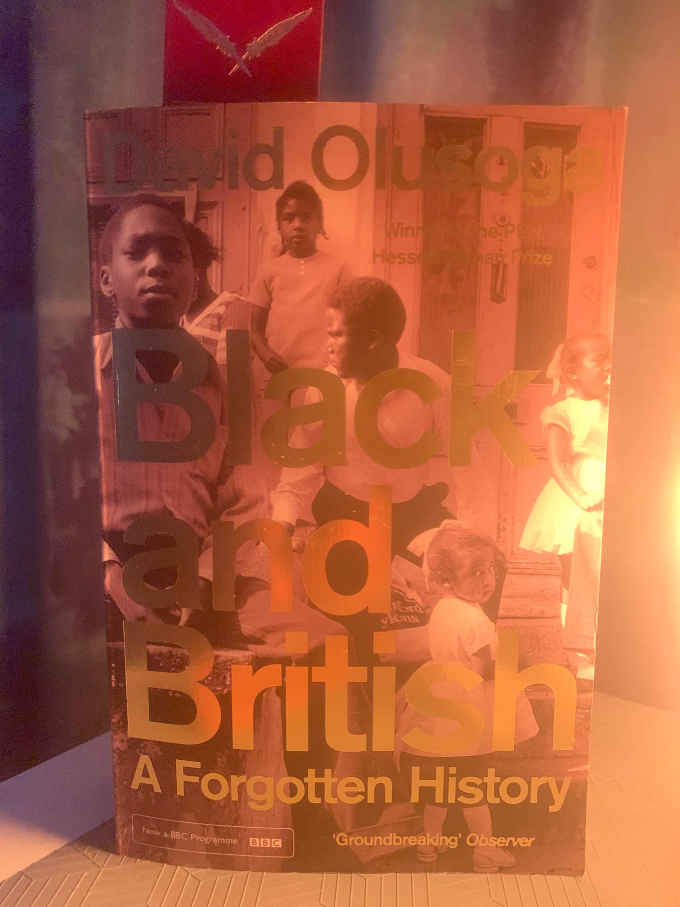 BOOK REVIEW: Black and British: A Forgotten History by David Olusoga