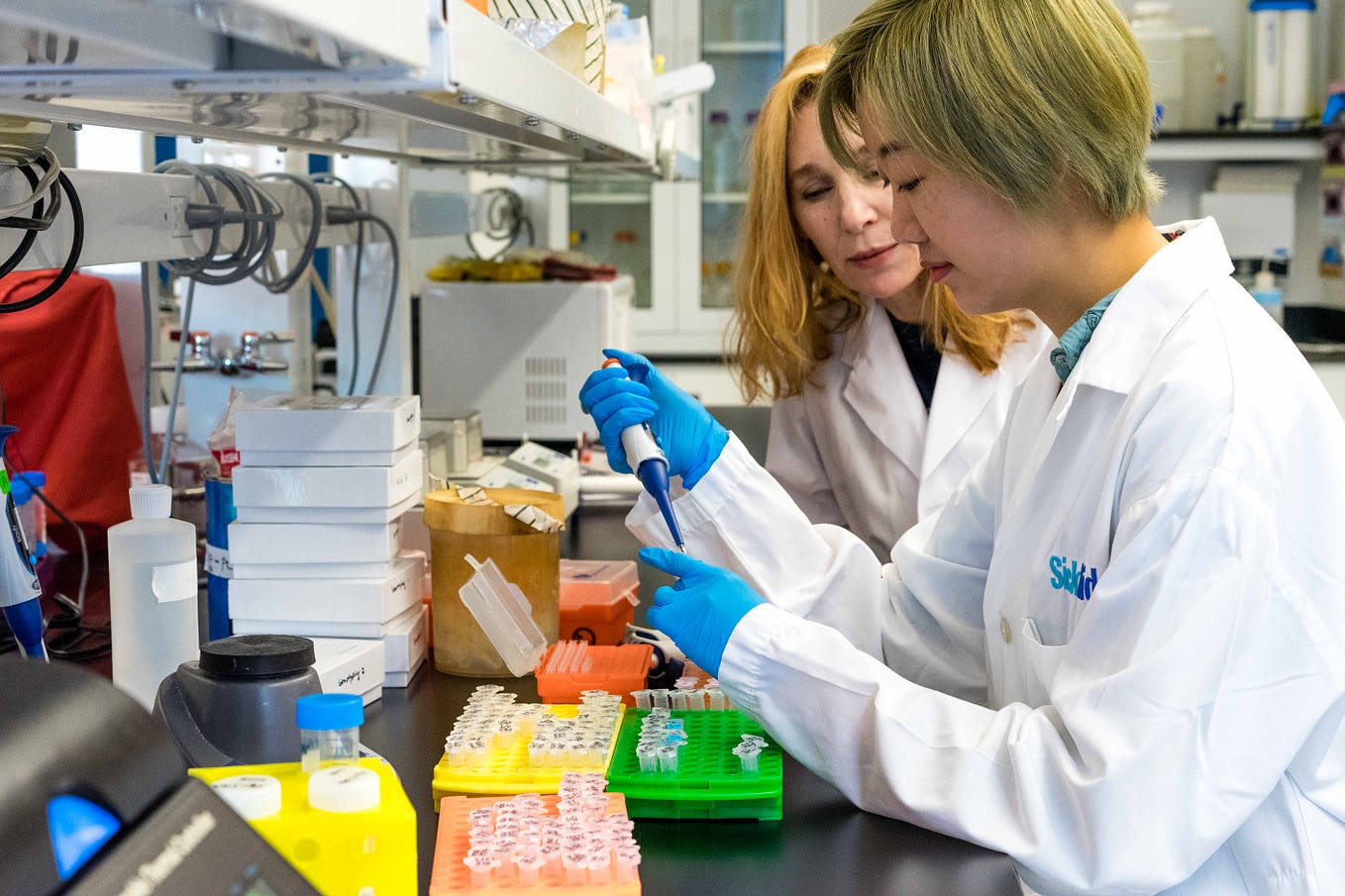 The History of Herbie. Forty years ago, Herbie Quinones of… by