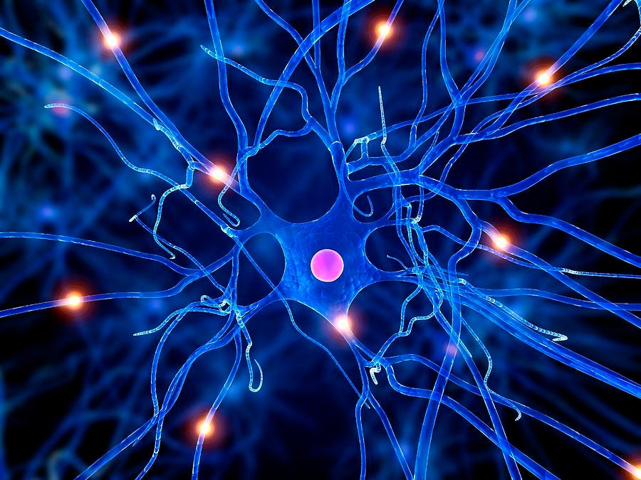 How Internet Computer NNS Neurons can be merged