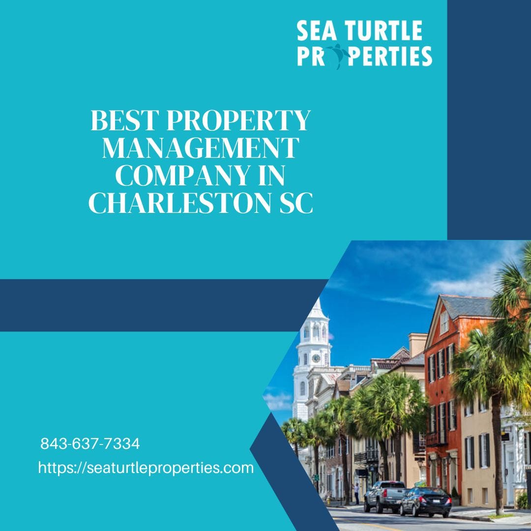 Professional Real Estate Broker in Summerville, SC Sea Turtle