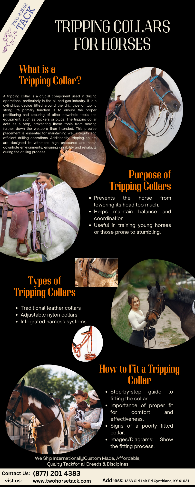 Choosing the Right Tripping Collar for Your Horse Twohorsetack Two