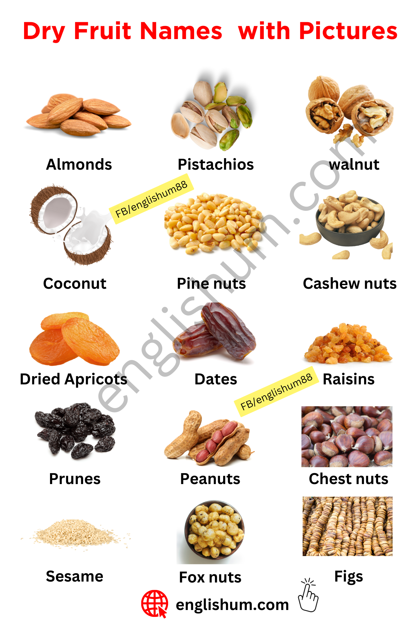 Fruit Names In English With Urdu Meanings Englishwithbaseer Medium